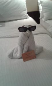 Penguin with sunglasses